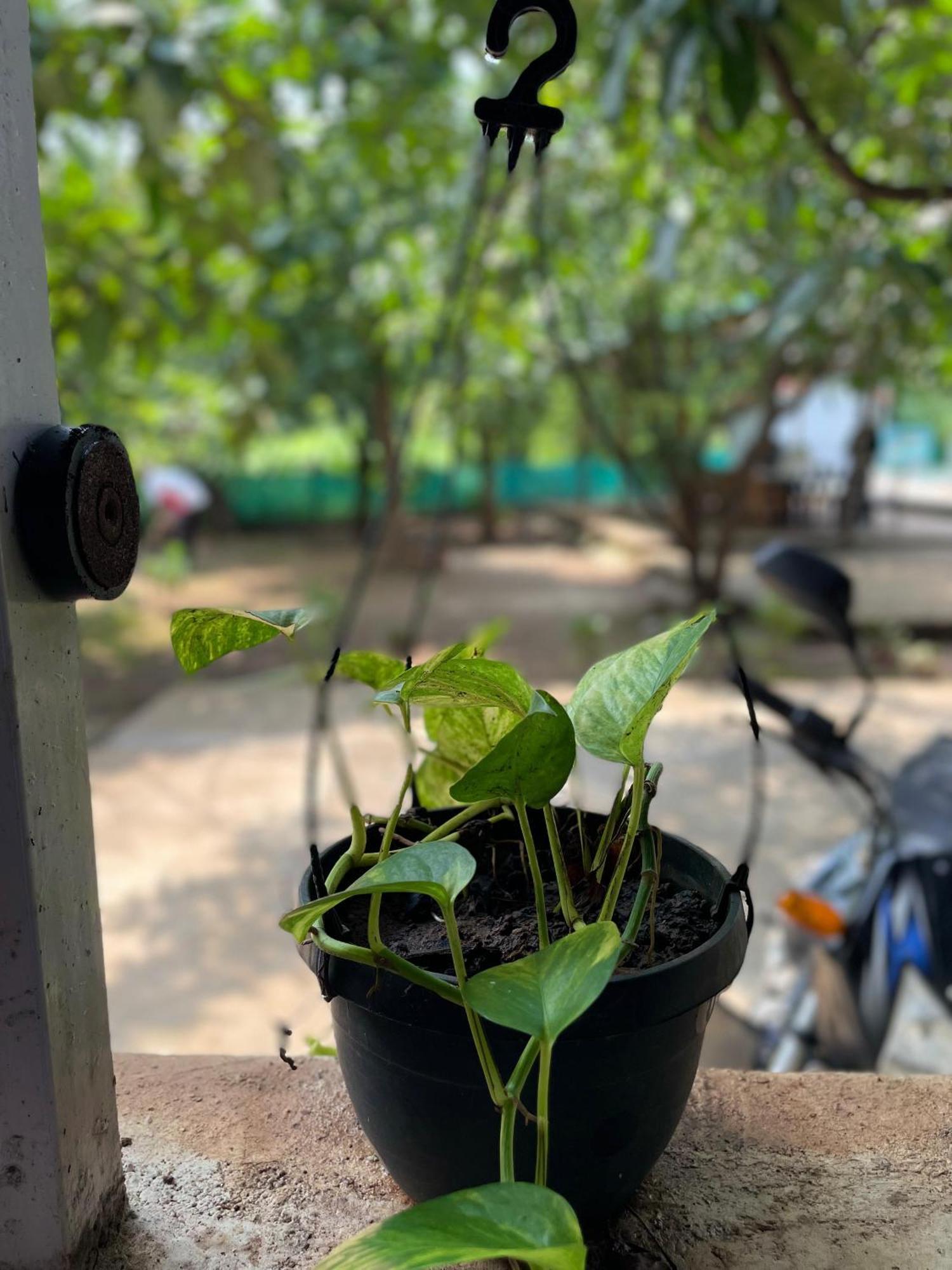 Riverland Farm And Resort Karjat Exteriör bild